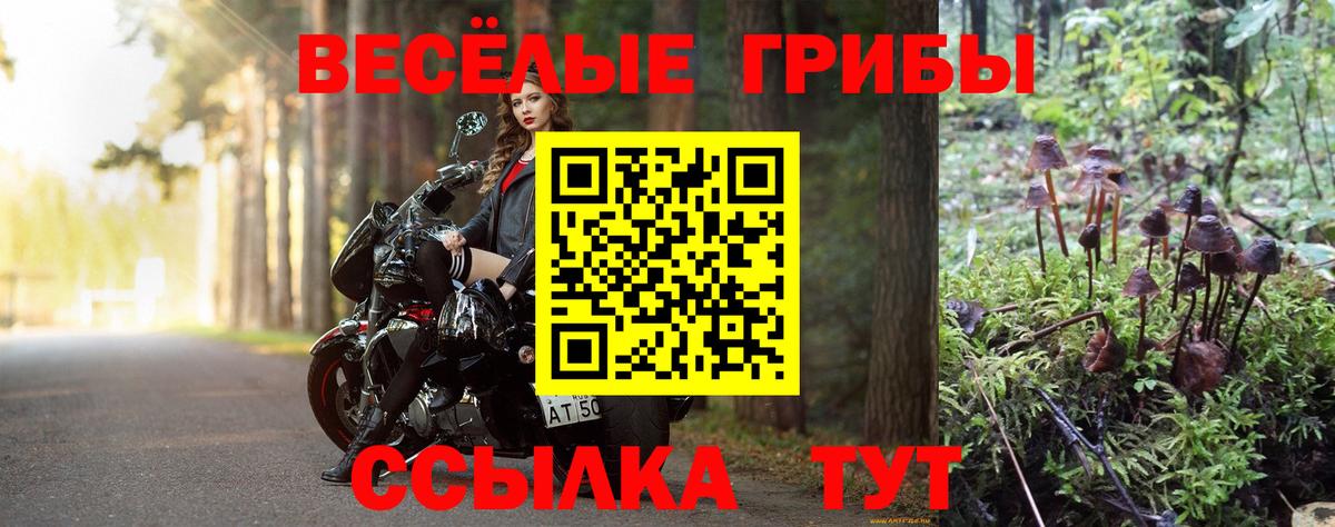 Галлюциногенные грибы MAGIC MUSHROOMS Орск